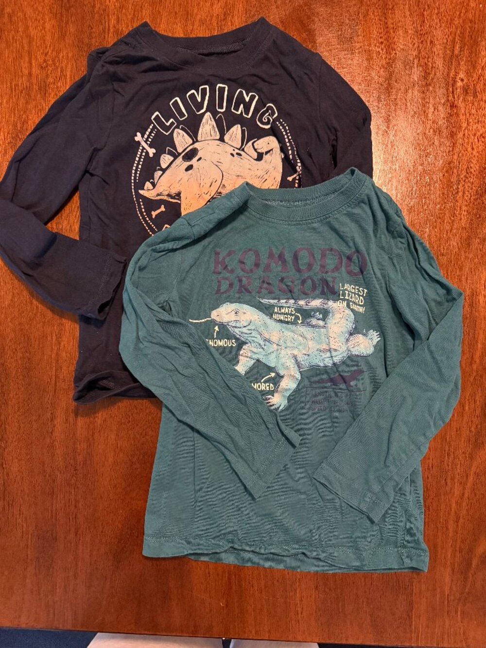 4T Dinosaur & Dragon Long Sleeve Tees